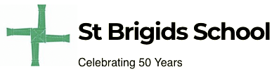 stbrigidsdundalk